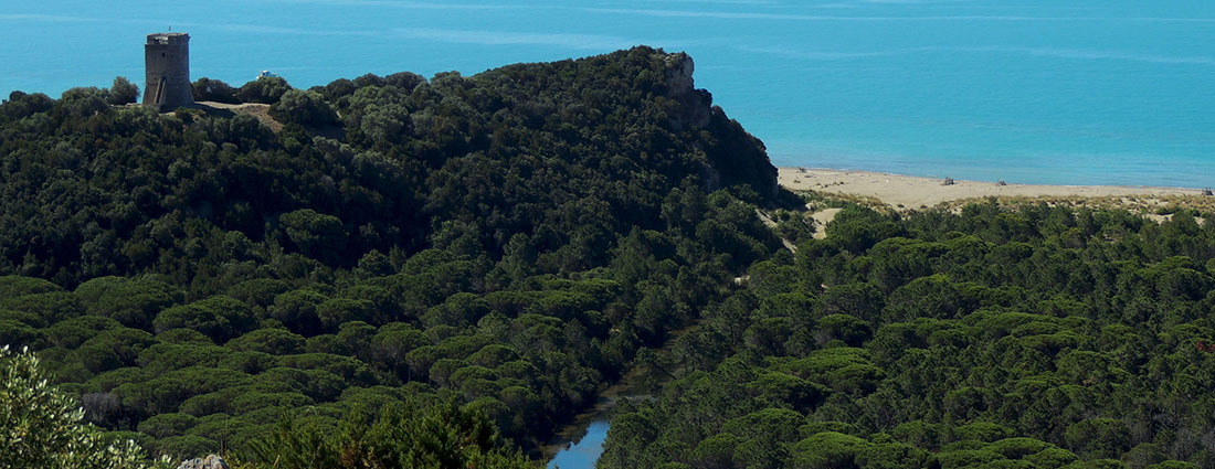 Parco della Maremma