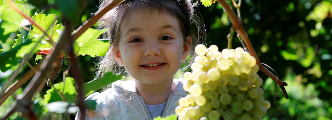 La vendemmia dei bambini