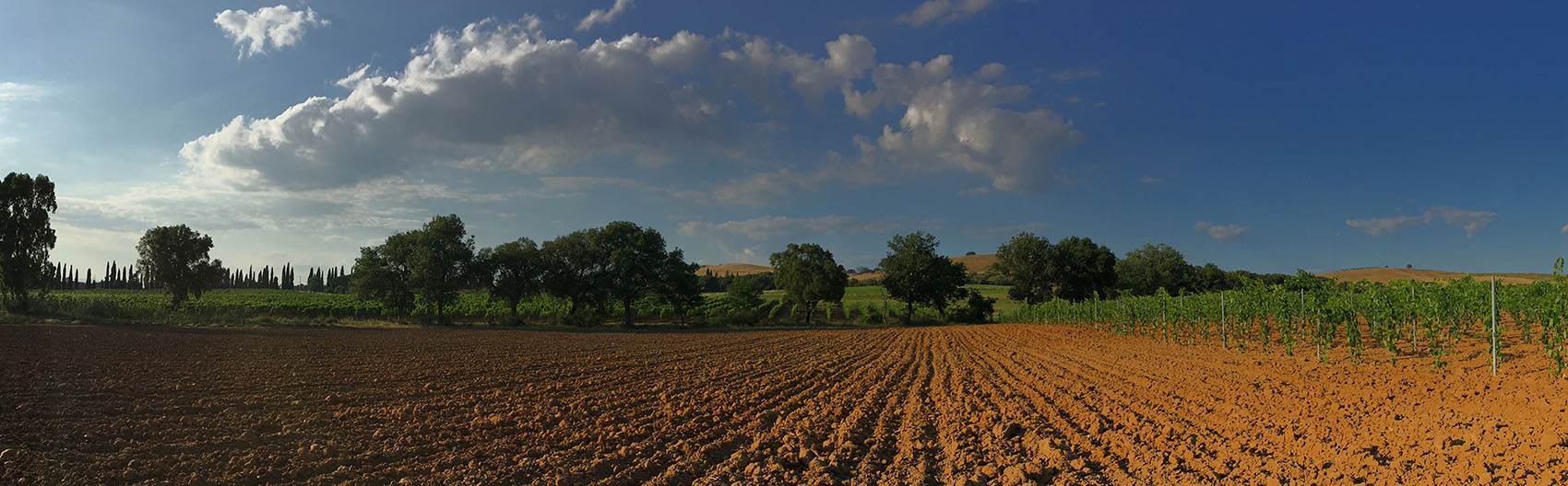 slider_7