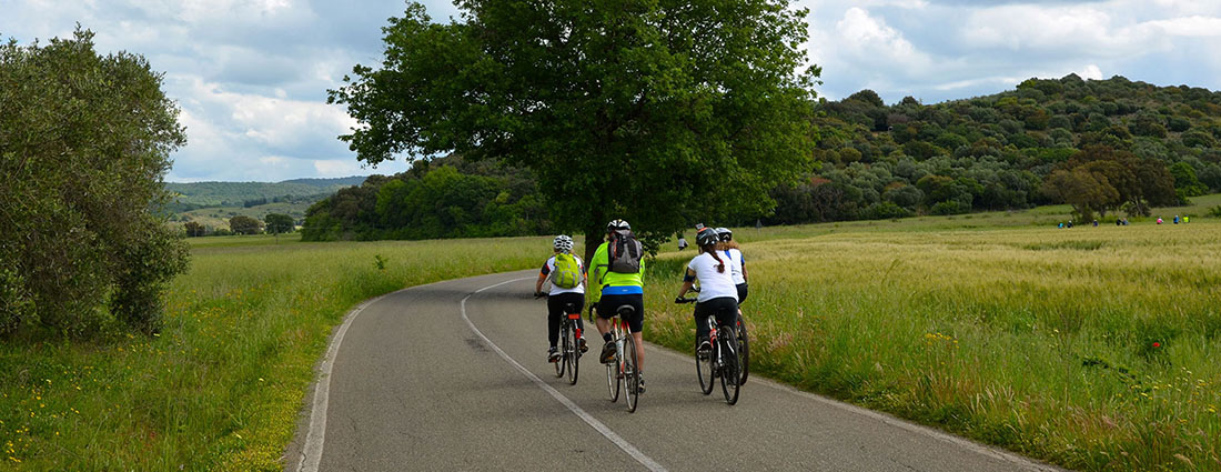 Visita del parco dell'uccellina in bicicletta